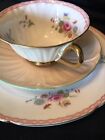 Shelley England Oleander Rose Red Daisy Tea Cup, Saucer & 8” Plate