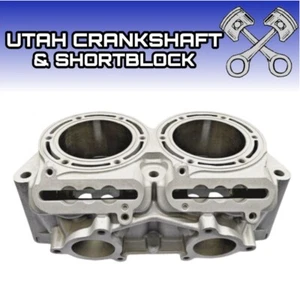 New Polaris 850 Cylinder 2019-2024 3023433 AXYS Pro RMK Indy Rush SKS XCR 4C3A3 - Picture 1 of 5