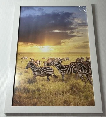 Zebras Print, Tanzania Wall Art, Sunset Framed Forest Wall Art JD Art Gallery - Image 1 of 3