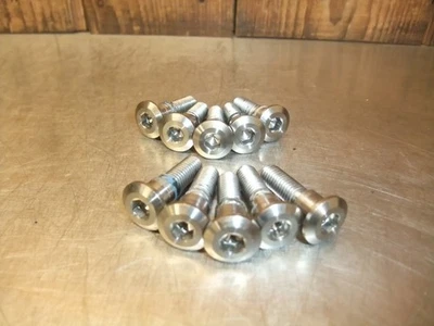 Pernos de disco de freno delanteros Triumph Daytona 955i 2006 en muy buena condición #271 Foto 1 de 2