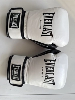 Everlast Powerlock Boxhandschuhe 14oz Handschuh Turnbeutel Training UVP 44,99£ Training