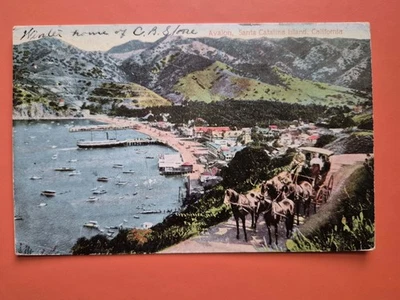Avalon, Santa Catalina Island,  Ca. California  - 1911 Postcard - Image 1 of 2