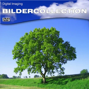 1350 LIZENZFREIE FOTOS , BILDER, TEXTUREN, DVD lizenzfrei, free images DVD 4,7GB - Bild 1 von 1