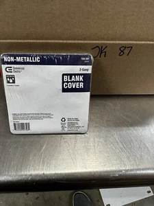 COMMERCIAL ELECTRIC BLANK COVER 2-GANG NON METALLIC - NEW - Picture 1 of 1