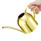 Stainless Steel Watering Can with Long Spout for House Plants (35oz/1000ml)