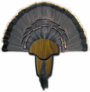 Strut Turkey Tail & Beard Mounting Kit Durable Easy to Assemble Trophy Mount Kit - Picture 1 of 12