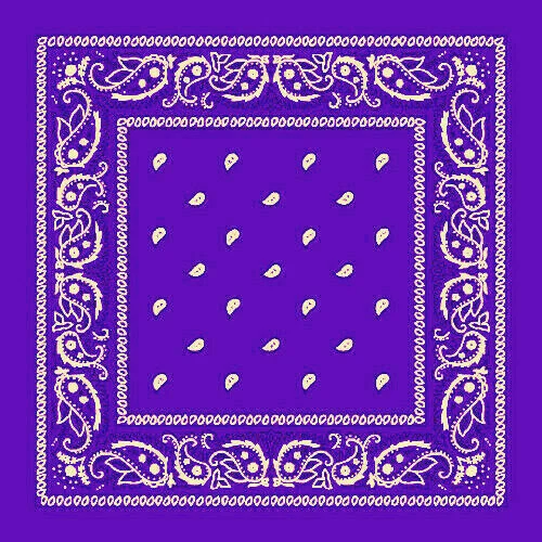 Paisley Bandana Head wrap Cotton Neck Scarf Wristband Handkerchief USA FAST SHIP - Image 1 of 1