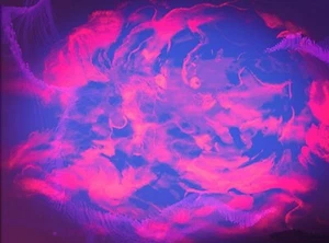 Vibes of Love - Bild 1 von 1