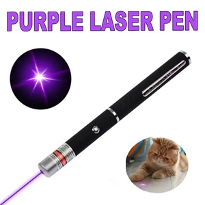 Visible Beam Light Lazer 405nm Purple Laser Pointer Pen 10-100 meters Aluminum - Picture 1 of 8