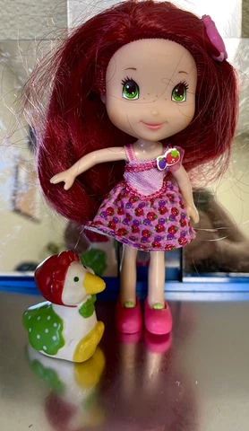 Strawberry Shortcake Doll Berry Best Friends Lot Accessories Pet Cover