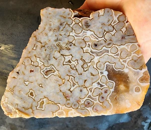 23.06 oz (654 gr) Stone Decor, Bubble Agate, Agate Specimen, Natural Agate Stone - Picture 1 of 14