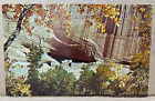 White House Ruin Canyon De Chelly National Monument Chinle Az Chrome Postcard