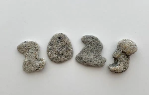Pietre da spiaggia a forma di numero naturale 2025 rocce 25 anni cornice arte ciottoli artigianato US - Foto 1 di 11