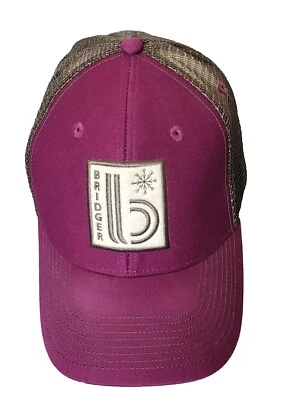 Gorra Ouray BRIDGER Tabla de Nieve Esquí Montaña Snapback Púrpura Gris Malla Foto 1 de 4
