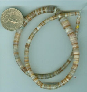 Cadena de cuentas Heishe Shell graduadas de 16 pulgadas de 4 mm a 8 mm tonos terrosos de crema - Imagen 1 de 1