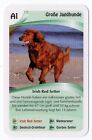 Dogs - Single German Trade Card Irish Red Setter