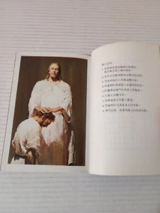 The Book Of Mormon Chinese 摩門經 LDS Vintage 1980s - Picture 1 of 15