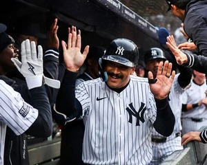 Foto de béisbol Trent Grisham Dugout Celebración Yankees de Nueva York 8x10 MLB - Imagen 1 de 1