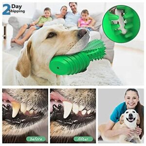 1 pack ,New Cactus Dog Toothbrush...free shipping