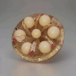 Botones Raros Extruidos 1.5" Celuloide Pintado Bolas Manzana y Hojas + 4 Delicados - Imagen 1 de 20