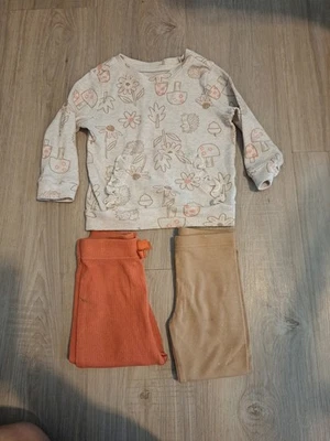 Conjunto de traje para niña temático de erizo 18 meses Foto 1 de 4