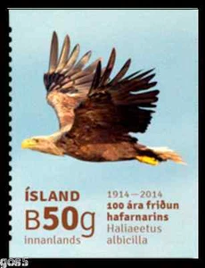 Iceland IJsland 2014 White taile Eagle bird selfadhesive stamp mnh/postfris us - Picture 1 of 1