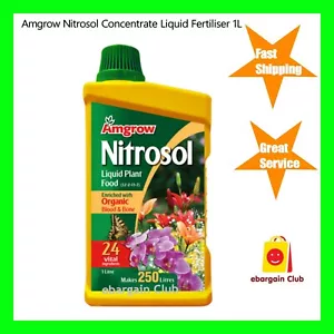 Amgrow Nitrosol Concentrate Liquid Fertiliser 1L - Liquid Plant Food eBC - Picture 1 of 2