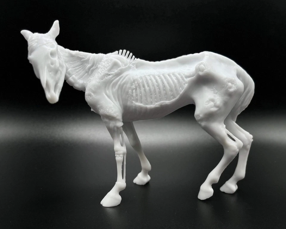 Semental zombi caballo modelo estilo Halloween Lazarus 2016 Foto 1 de 4