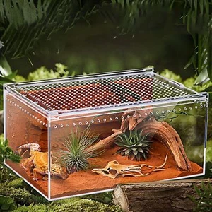 Rettile Terrario Trasparente Gabbia Rettili per Rane Tartarughe Gamberi - Imagen 1 de 7
