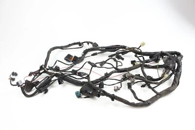 Arnés de cableado del motor principal Kawasaki Ninja 650r 2009 B4313 Foto 1 de 4