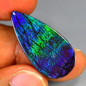 19.20Ct Fantastic Natural Canadian Multi-color Ammolite Loose Gemstone - Picture 1 of 2