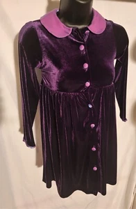 Talbots Kids-Girl's purple button down long sleeve velvet dress size 6x - Picture 1 of 6