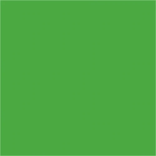 Rainbow Classic Felt 9 X12 -apple Green