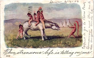 1906 HH Tammen Postcard Native American Indian Boys Donkey Strenuous Life - Picture 1 of 2