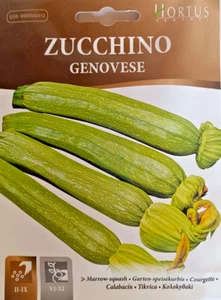 CALABACÍN GENOVESO en bolsa termosellada - Imagen 1 de 1