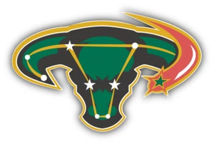 Dallas Stars NHL Hockey Head Logo Car Bumper Sticker - 3'', 5'', 6'' or 8'' - Picture 1 of 1