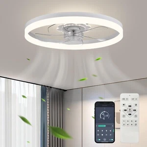 20‘’ Ceiling Fan with Light, Upgraded Low Profile Fan, Flush Mount C - Picture 1 of 7