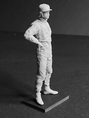 RONNIE PETERSON Jr. - Tyrrell  Lotus March Ferrari Porsche 8 12 18 24 JPGM RD032 - Image 1 of 4