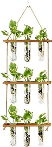 Wall Hanging Terrarium Station with Wooden Stand and Glass Vases, 9 Tubes, Brown - Picture 1 of 7