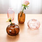 Modern Glass Bud Vase Small Mouth Flower Pot For Home Decor Table Single Rose US