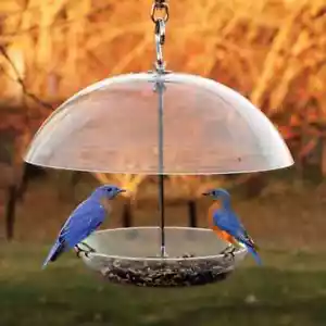 Woodlink Dome Top Seed and Bluebird Feeder UV Resistant Polycarbonate Durable - Picture 1 of 3