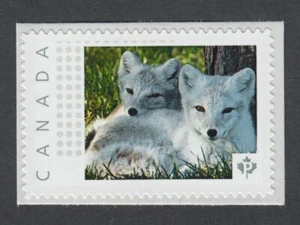 YOUNG ARCTIC FOXES = Picture Postage stamp Canada 2014 p74ba4/3 - Picture 1 of 2