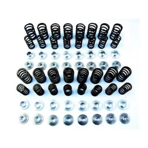 Verstärkte Ventilfedern + Teller VW Aude 2,0TFSI BYD,BWJ,BHZ mit Zahnriemen - Bild 1 von 1