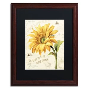 Under the Sun II Wall Decor by Lisa Audit, 16" x 20", Wood Frame, Black Matte - Picture 1 of 6