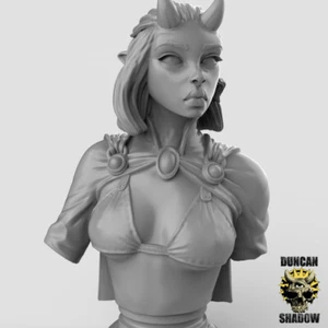 Figurine Print 3D 9th Age, D&d , Games Leading, Bust Woman Demon - Picture 1 of 1