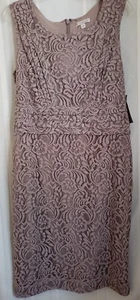Eva Mendes New York & Company Sleeveless Dress Taupe Lace Overlay Size 10 NWT - Picture 1 of 7