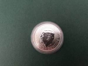 The Royal Mint Britannia 2025 1oz 999.0  Silver Bullion Coin King Charles III - Picture 1 of 2