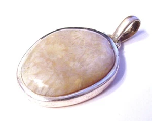 Gorgeous Fancy .925 Sterling Silver Plant Fossil Pendant F91 - Picture 1 of 1