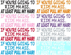 IF YOU'RE GOING TO RIDE MY ASS ~ AT LEAST PULL MY HAIR ~ DECAL / STICKER - Bild 1 von 9