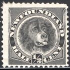 Newfoundland Stamp Scott #58, 1/2C, Black, Newfoundland Dog, Mlh, Scv$14.00